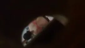 Laiha ilmaiset suomi ...