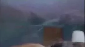 Venäläinen iso valko ...