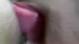 Kaksi iso musta kukk ...