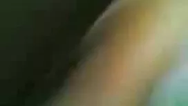 Alaston koira kukko  ...