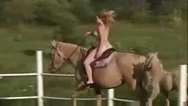 Alusvaatteet, sukat, ...